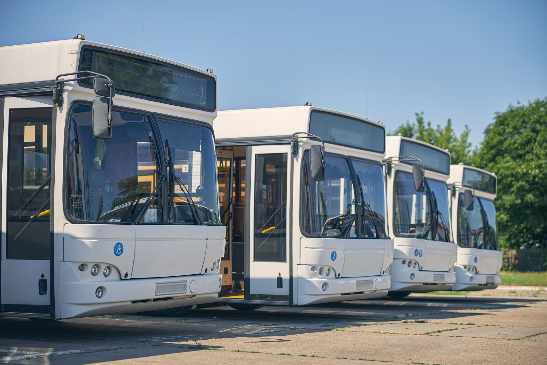 Tour buses lined up for charter service
