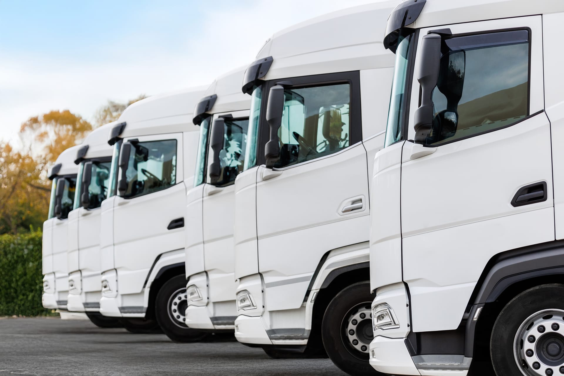 Modern fleet vehicles lined up for service